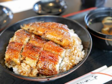 閲覧注意 すき家のうなぎが不味い件 でも 三種のチーズ牛丼がうまいから許すっ 大阪のたまごサンドしらんの